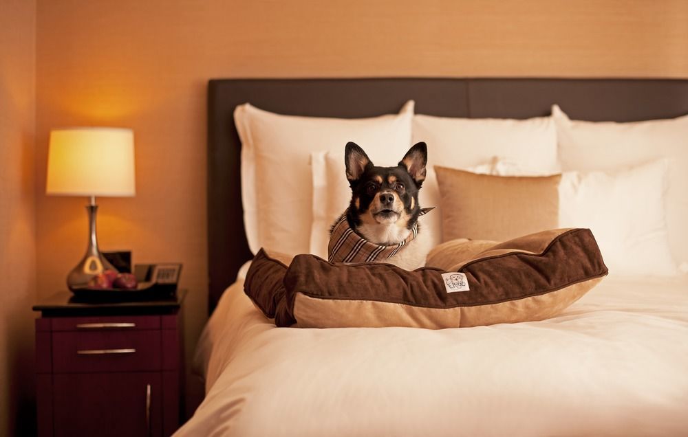 Hyatt Place Sterling Dulles Airport North Εξωτερικό φωτογραφία
